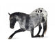 Kneeling Appaloosa Horse Wall Decal