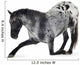 Kneeling Appaloosa Horse Wall Decal