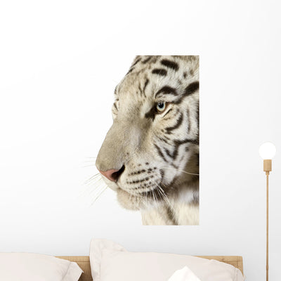 White Tiger Wall Decal shown on a wall