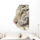 White Tiger Wall Decal