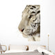 White Tiger Wall Decal