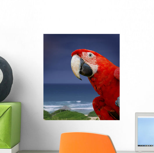 Green Wing Macaw Wall Decal