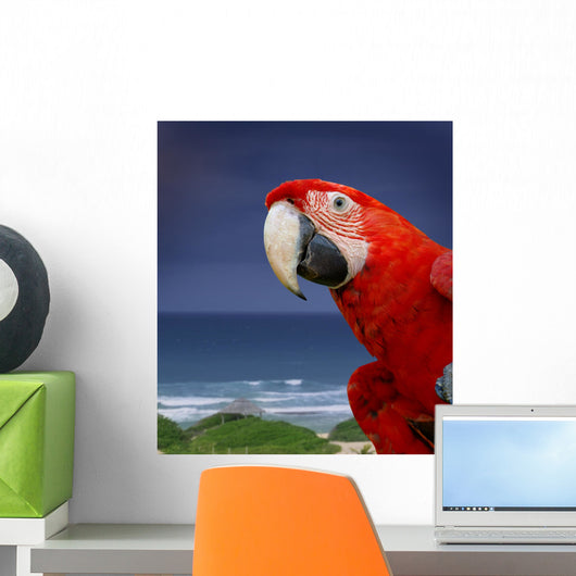 Green Wing Macaw Wall Decal