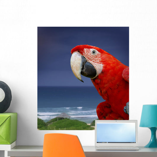 Green Wing Macaw Wall Decal
