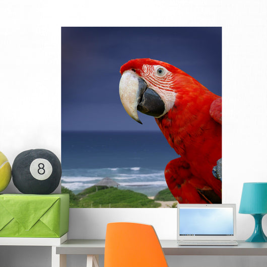 Green Wing Macaw Wall Decal