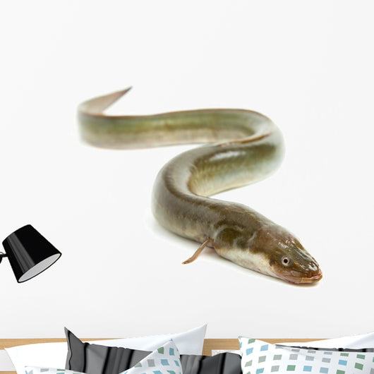 Eel Wall Decal