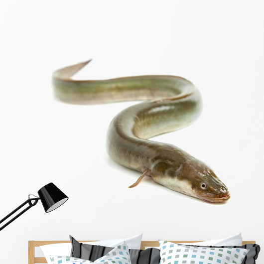 Eel Wall Decal