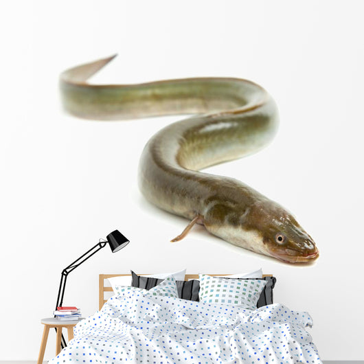 Eel Wall Decal