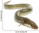 Eel Wall Decal