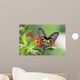 Golden Birdwing Butterfly Wall Decal