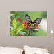 Golden Birdwing Butterfly Wall Decal