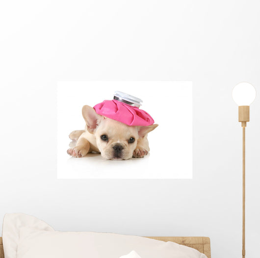Sick Puppy Wall Decal