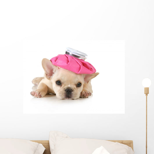 Sick Puppy Wall Decal