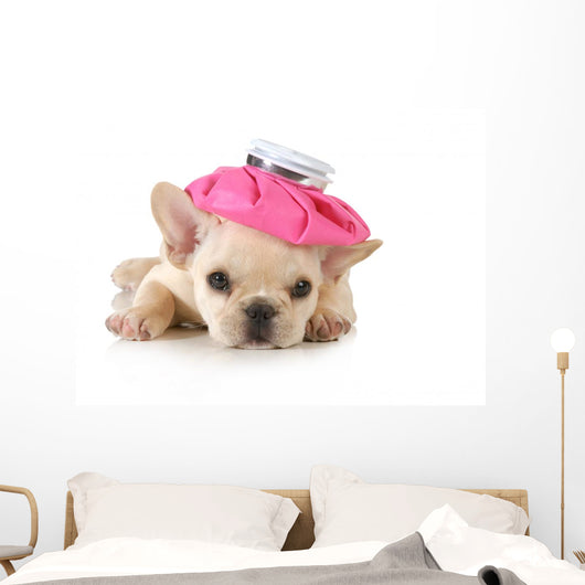 Sick Puppy Wall Decal