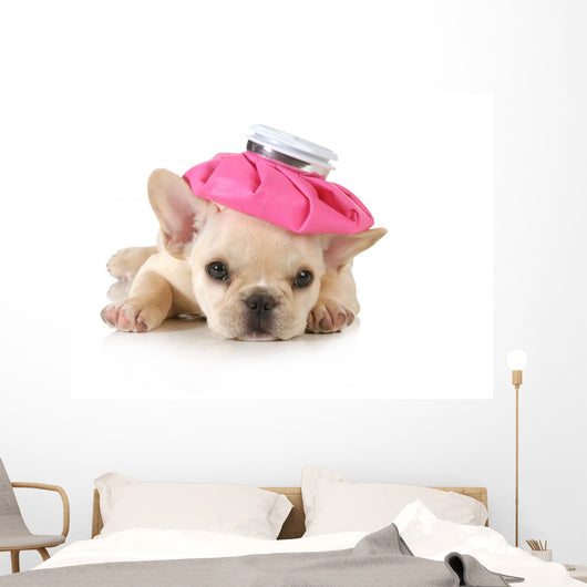 Sick Puppy Wall Decal