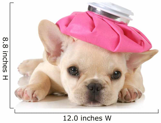 Sick Puppy Wall Decal