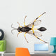 Wasp Mud Dauber Species Wall Decal
