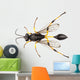 Wasp Mud Dauber Species Wall Decal