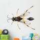 Wasp Mud Dauber Species Wall Decal