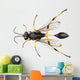 Wasp Mud Dauber Species Wall Decal