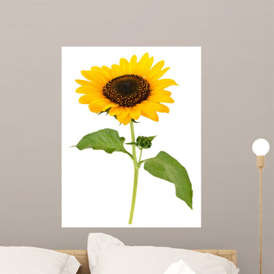 Sunflower Wall Decal shown on a wall