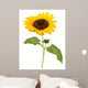 Sunflower Wall Decal