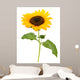 Sunflower Wall Decal