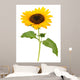 Sunflower Wall Decal