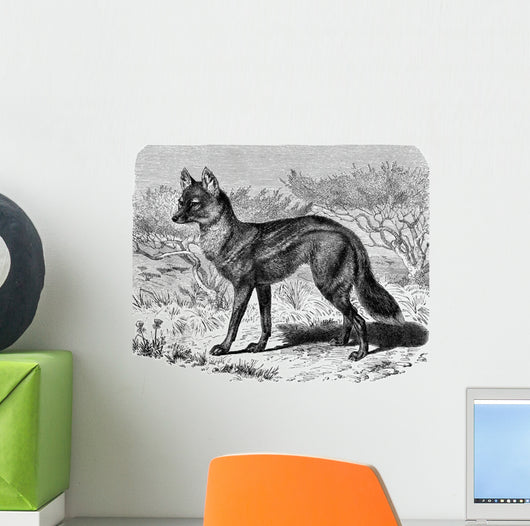 Jackal - Chacal Streifenwolf Wall Decal