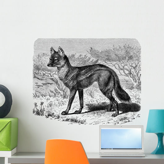 Jackal - Chacal Streifenwolf Wall Decal