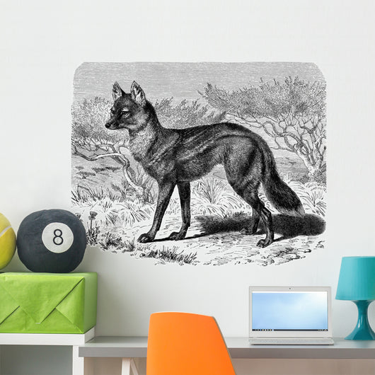Jackal - Chacal Streifenwolf Wall Decal