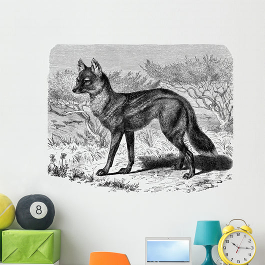 Jackal - Chacal Streifenwolf Wall Decal