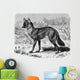 Jackal - Chacal Streifenwolf Wall Decal