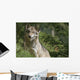 Wolf in the Forest Wall Decal