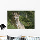 Wolf in the Forest Wall Decal
