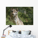 Wolf in the Forest Wall Decal