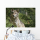 Wolf in the Forest Wall Decal