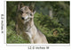 Wolf in the Forest Wall Decal
