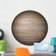 Planet Jupiter White Wall Decal