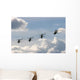 Military Helicopters Wall Decal
