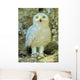 Snowy Owl - Harfang Wall Decal