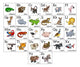 Cartoon Animal Alphabet Chart Wall Decal