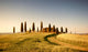 Campo Di Grano E Wall Decal