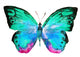 Butterfly Watercolor Design Wall Decal