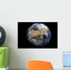 Planet Earth Centered African Wall Decal