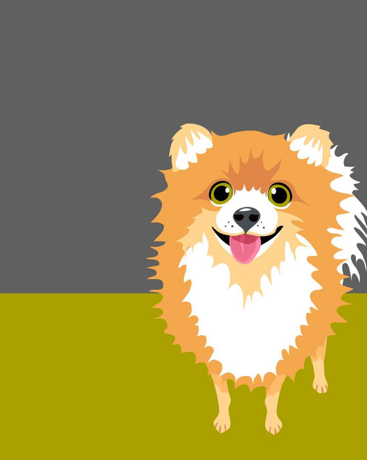 Illustration Happy Pomeranian Wall Decal