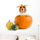Beagle Pumpkin Wall Decal