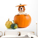 Beagle Pumpkin Wall Decal