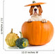 Beagle Pumpkin Wall Decal