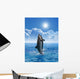 Dolphins Doing a Tail Stand Wall Decal